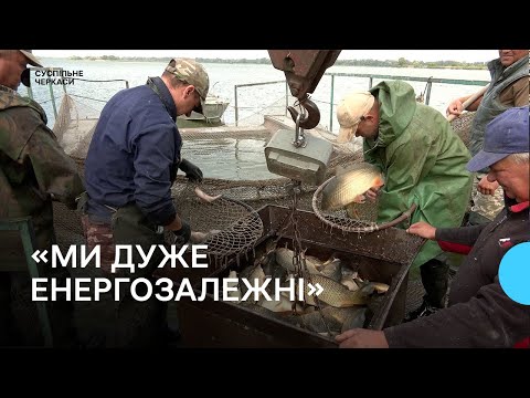 Видео: 17 мільйонів ікринок в інкубаторі: як в умовах відключень працює Іркліївський риборозплідник