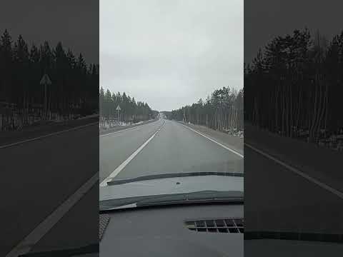 Видео: 11 мая 2024 г.