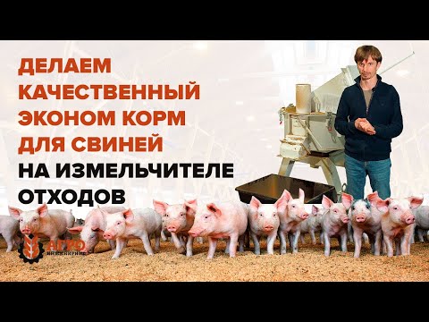 Видео: Как сэкономить на корме для свиней с помощью силового измельчителя.