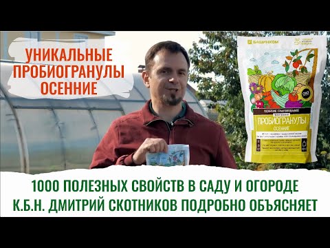 Видео: Чем, как подкормить растения осенью? Что поможет им перезимовать? Смотрите!