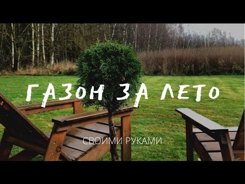 Видео: НИКТО не верил, но я вырастил ГАЗОН на 6 сотках