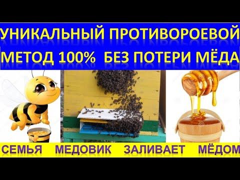 Видео: Уникальный противороевой 100% метод без потери мёда. Семья медовик.