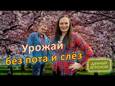 Видео: Не поливай грядки потом и слезами!