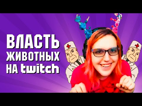 Видео: Twitch и проблемы с БАШКОЙ 🎮 ФЛУД #5