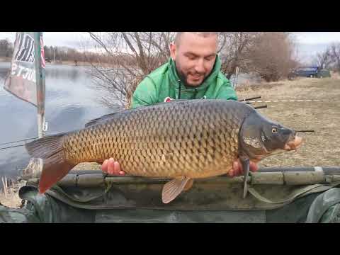 Видео: Язовир Кривина (Софийско)