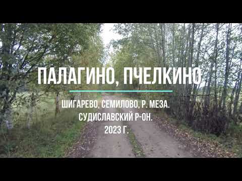 Видео: Палагино, Пчёлкино, Шигарево, Семилово, р. Меза Судиславский р-он. Сентябрь 2023 г.