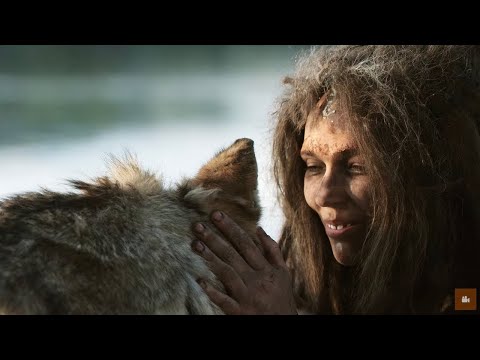Видео: Собака — первый друг человека: нерассказанная история собак