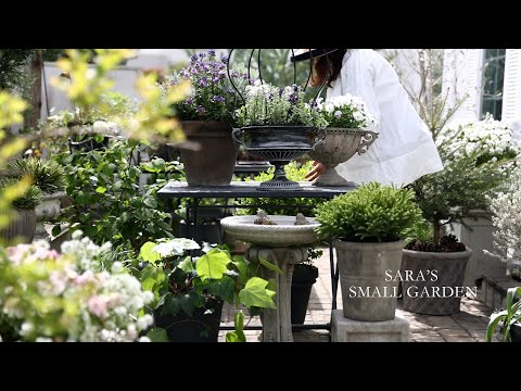Видео: Подготовка белого сада к стильному летнему саду