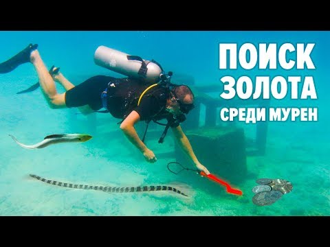 Видео: ДАЙВИНГ ПХУКЕТ. ЗМЕИ ПОД ВОДОЙ. СПУСТИЛСЯ с МЕТАЛЛОИСКАТЕЛЕМ В НАДЕЖДЕ НАЙТИ ЗОЛОТО!