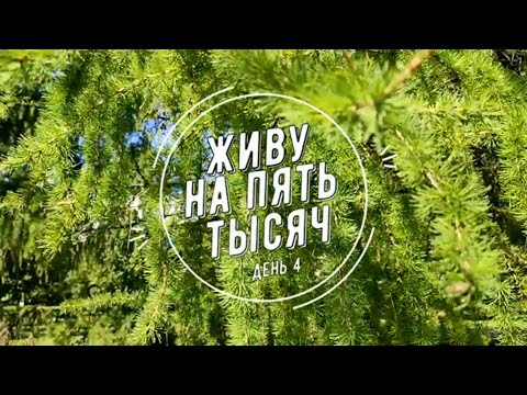 Видео: ПРОЖИТЬ НА 5 000 С ДВУМЯ ДЕТЬМИ ДЕНЬ 4