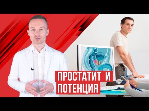 Видео: Урок 23 Простатит влияет на потенцию?
