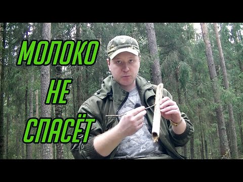 Видео: Снова о выведении шлаков и токсинов