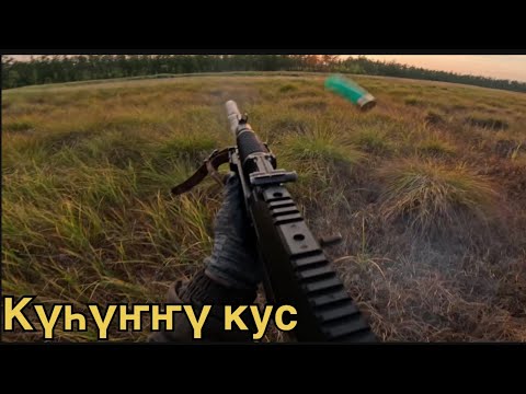 Видео: Күһүҥҥү кустааһын, матасыыкылынан