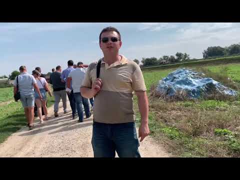 Видео: У пана Метека . Маравилла и Маргарита