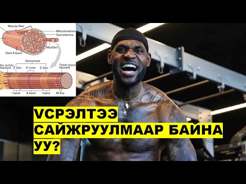 Видео: ҮСРЭЛТ НЭМЭХ БУЛЧИНГИЙН ШИРХЭГҮҮДЭЭ ХЭРХЭН ХӨГЖҮҮЛЭХ ВЭ?