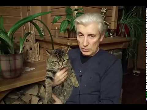 Видео: люди, кто мы, откуда мы, почему мы такие?