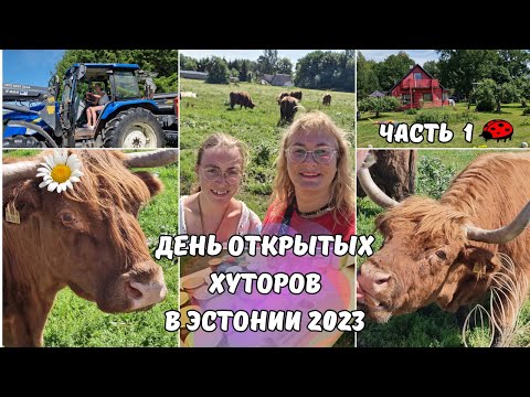 Видео: Эстония.Дни открытых хуторов.Avatud talude päev 2023.Как живут люди в эстонской деревне.Влог.1 Часть