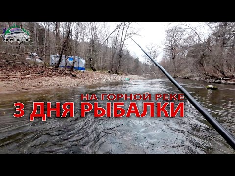 Видео: 3 Дня рыбалки на горной реке в палатке с печкой. #хариус #ленок #горнаярыбалка