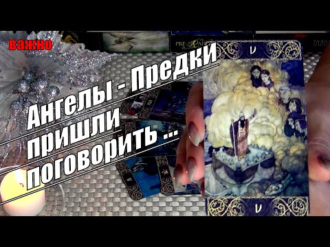 Видео: 👼🪽ЧТО ХОТЯТ СКАЗАТЬ ВАМ ТЕ, КТО СЕЙЧАС НА НЕБЕСАХ? 🍀♥️ Гадание Таро