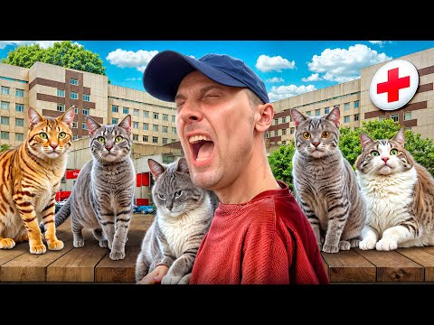 Видео: 100 КОШЕК В 1 ДОМЕ😱ПОПОЛНЕНИЕ В СЕМЬЕ | УГАР ИЗ ЖИЗНИ #83