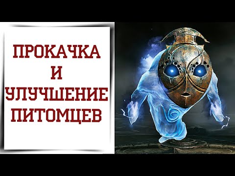 Видео: Всё о фамилиарах в Diablo Immortal | Гайд по питомцам