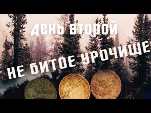 Видео: НЕ БИТОЕ МЕСТО/КОП ЦАРСКИХ МОНЕТ/УРОЧИЩЕ/ПОИСК КЛАДА И СТАРИНЫ/ВЕСЕННЯЯ РАЗВЕДКА/ Пермский край