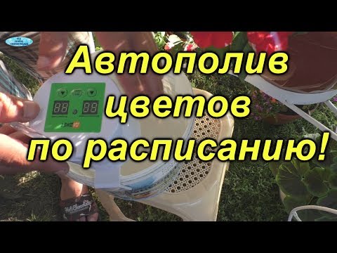 Видео: Автолейка "Даджет"-вот кто польёт наши цветы, пока мы в отпуске!