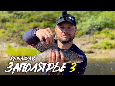 Видео: РЫБАЛКА В ЗАПОЛЯРЬЕ Ч. 3 | ДОБРАЛИСЬ ДО ХАРИУЗОВЫХ МЕСТ |  КИЛОШНИКИ НА КАЖДОМ ЗАБРОСЕ