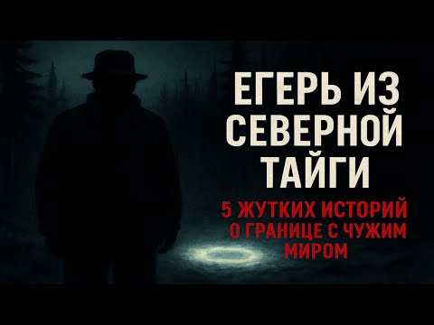 Видео: 5 таёжных историй из северной тайги: тайна дыхания леса, поющего снега и невидимой границы. Егерь