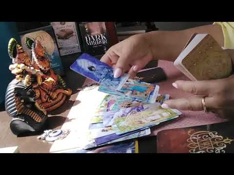 Видео: Как прекара почивните дни без вас😎😎😎