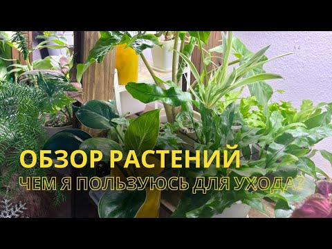 Видео: Обзор коллекции и аксессуары для ухода.