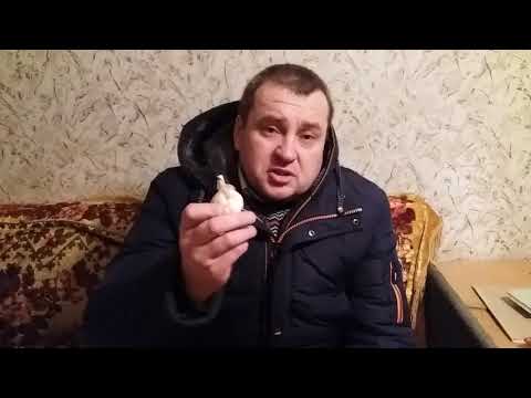 Видео: Яровой(весенний,летний) чеснок. Самое важное.
