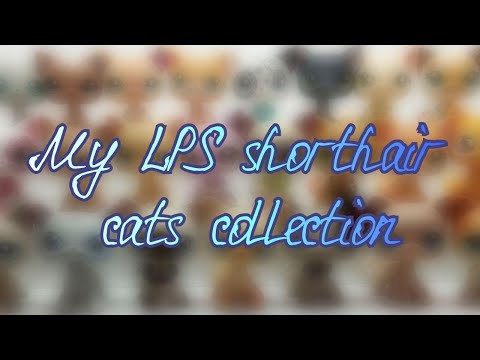 Видео: |LPS|: моя коллекция стоячек | My LPS shorthair cats collection