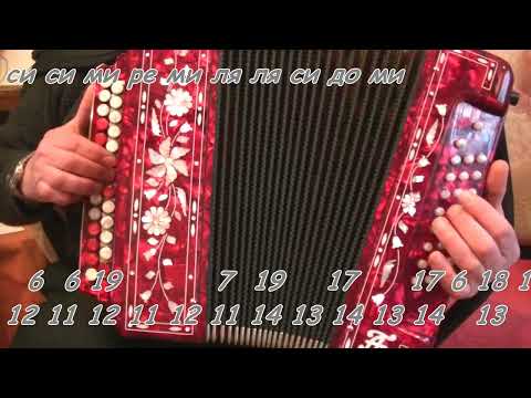 Видео: Течет речка по песочку - видеоразбор(ноты,цифры) на гармони.