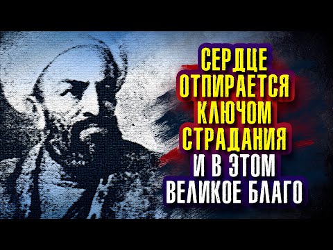 Видео: Бахауддин Накшбанд - Любит добрых всякий, кто есть в мире; если ты злых любишь, то победил себя.