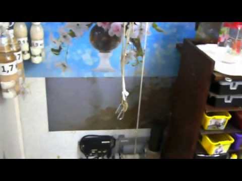 Видео: Шейник.Параподиум и цепи