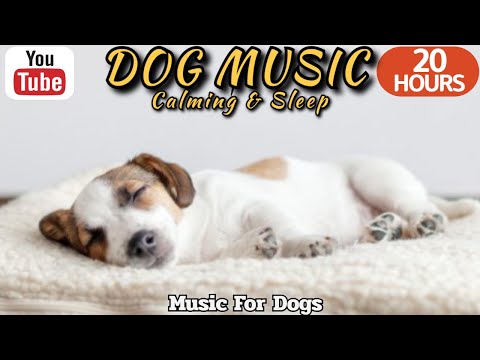 Видео: 20 ЧАСОВ Успокаивающей Музыки для Собак 🐶💖 Облегчение Тревоги Разлуки 🦮🎵 ⭐ Healingmate