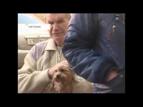 Видео: Танцующий дом в Сертолово: при строительстве девяти...