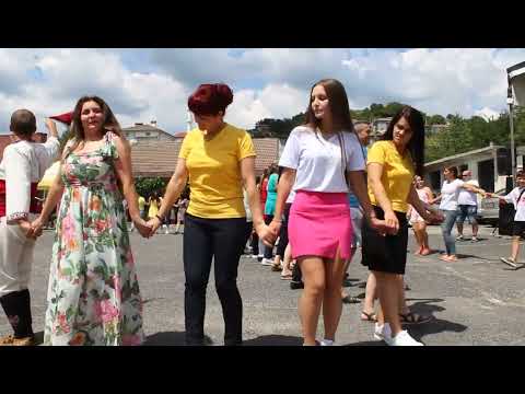 Видео: Жълтуша 2022-9