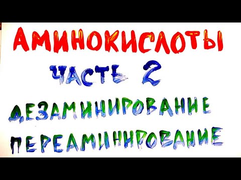 Видео: Реакции на аминогруппу