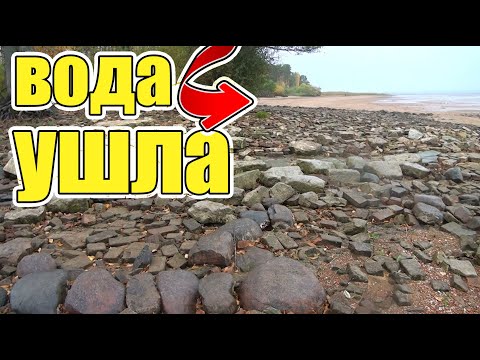 Видео: Обалдеть!Ушла вода и пошли находки!Столько монет я еще не находил!