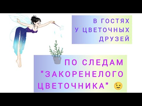 Видео: По следам "Закоренелого Цветочника"! В гостях у Евгении спустя 9 месяцев. Волгоград