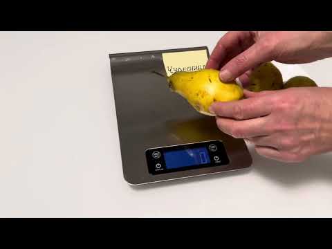 Видео: Дегустация груши Чудесница.