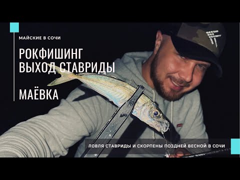 Видео: МАЁВКА в СОЧИ🎣 Ставрида пошла! Ловля ставриды и скорпены в Сочи