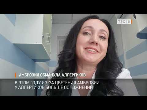Видео: Амброзия обманула аллергиков