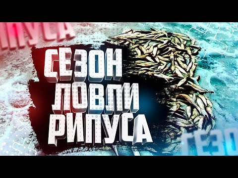 Видео: Ловля рипуса Какими разными бывают Карбоновые хлопушки для ловли рипуса Для чего это нужно