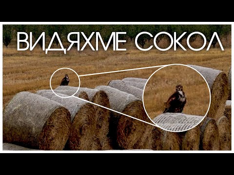 Видео: Есенен фото лов край с. Граница