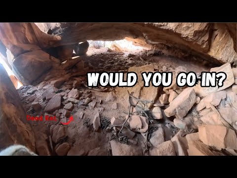 Видео: Я пролез через пещеру, кишащую крысами, чтобы добраться до неисследованного древнего места.