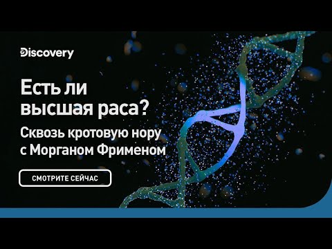 Видео: Есть ли высшая раса? | Сквозь кротовую нору с Морганом Фрименом | Discovery