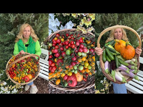 Видео: Дачные сезоны с Мариной Рыкалиной от 28 сентября 2023 года